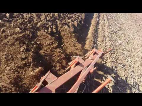 Fendt 611 i Landsberg 3 Glave Oranje Snimak Br 2 Sovljak-Ub 09.12.2016