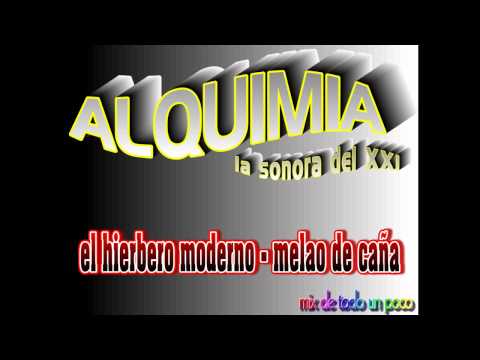 el hierbero moderno - melao de caña  (alquimia)