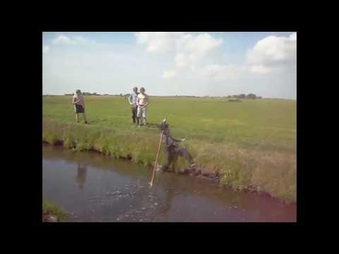 Fierljeppen - Crash Compilatie