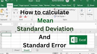 how to calculate Mean Standard Deviation And Standard Error in Excel | Step by Step Guide
