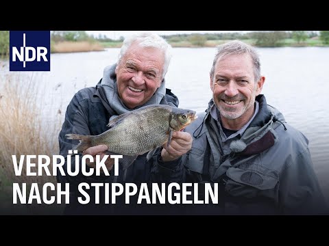 Video Thumbnail: Stippangeln lernen mit den Profis | Rute raus, der Spaß beginnt! Videopodcast | NDR Doku