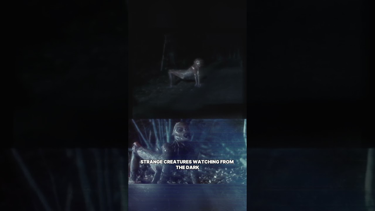 Thumbnail Download HD Thumbnail (1280x720)