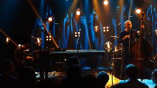 Avishai Cohen in concert 2018