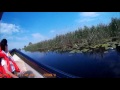 L Roșuleț L Roșu Sulina