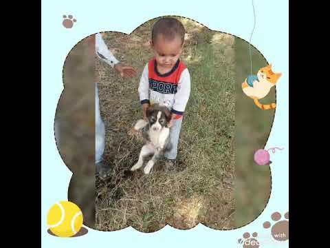 Little boy and his Puppy....🐶🐕