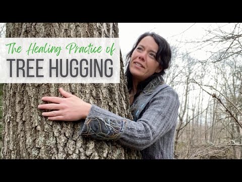 The Healing Practice of Tree Hugging