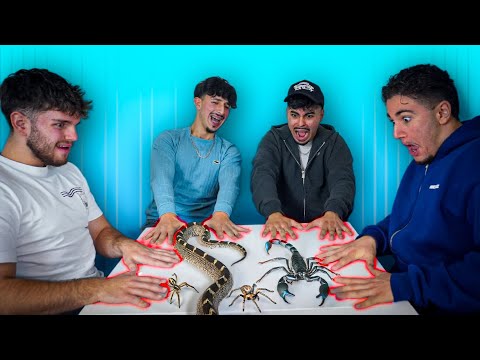 TRY NOT TO MOVE Challenge um 1000€