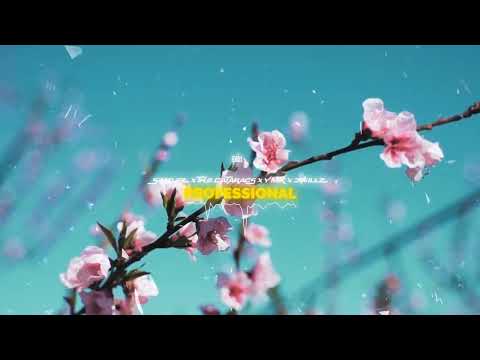 Spadez - Professional (feat. The Cataracs, YMTK & D.Willz) [Visualizer]