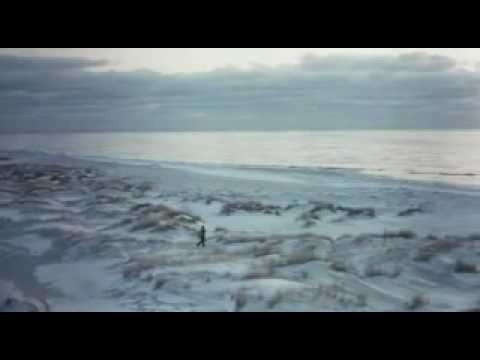 Pelle the conqueror  (final)