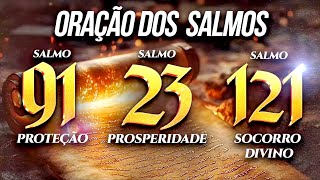 Salmo (91, 23, 121) com oração PARA PROTEÇÃO PROSPERIDADE E SOCORRO DIVINO