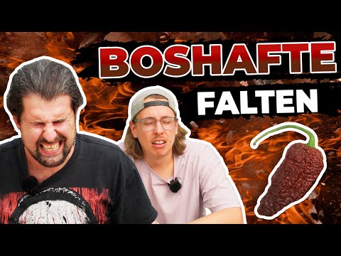 APOCALYPSE (Chocolate Chili) NOW! SUPER HOT Chili Verkostung