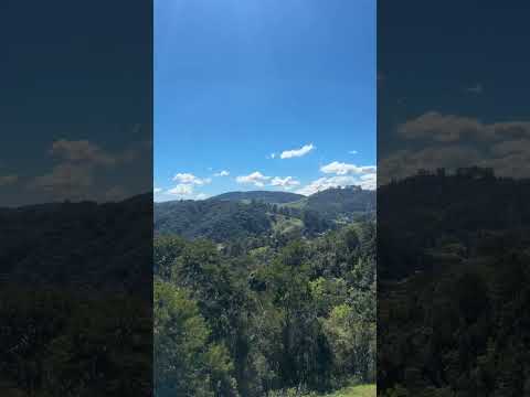 Tunas do PARANÁ #oscobras