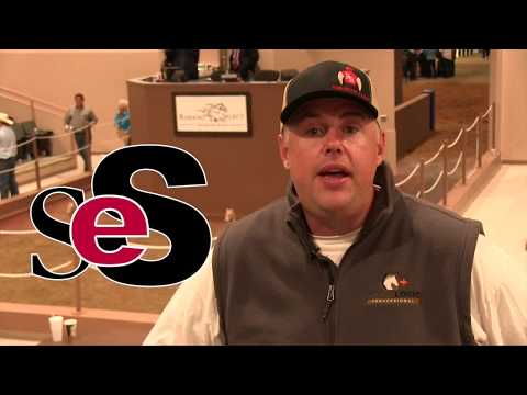 2018 Ruidoso Select Yearling Sale: Session 2