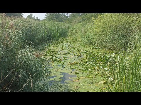 A place where no one goes