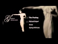 Michael Hoppé - The Parting