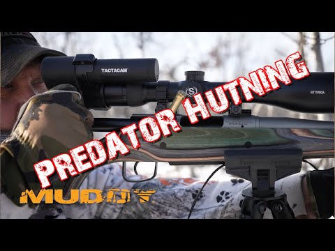 Predator Hunting