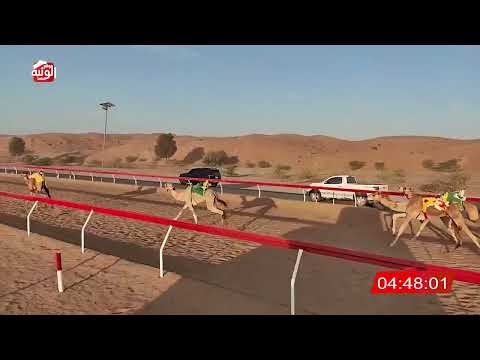  ش 5 (مرضية) لـ عبيد مصبح بن بدر العليلي 7:53 , شارة الديوان 2025/12/11 لقايا اللبسه  