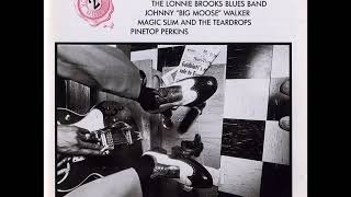 Magic Slim and the Teardrops, Spider in my stew