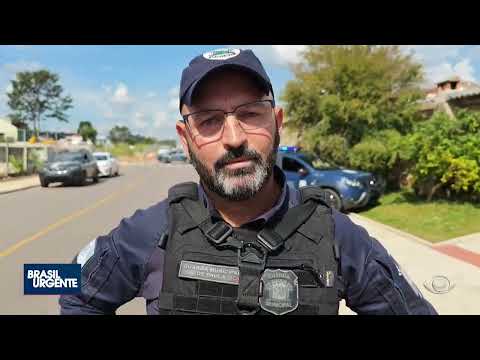 Homem é executado enquanto descansava debaixo de uma árvore em Fazenda Rio Grande!