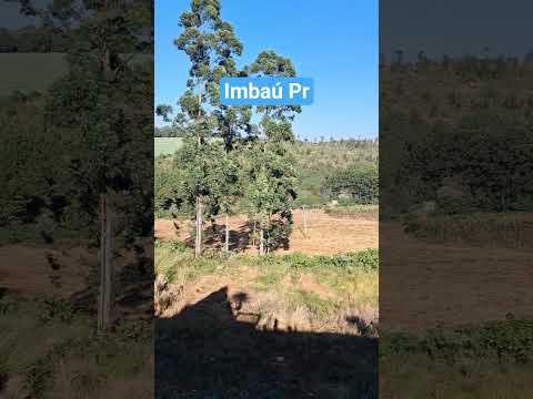 Imbaú Pr
