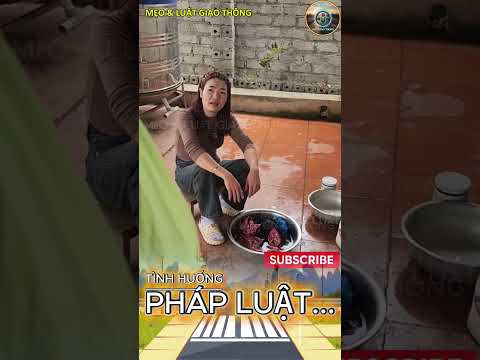 Thực hiện chỉ đạo từ trên dở xuống, nếu cô không chấp hành, tôi khép cô vào khoản 2 đấy