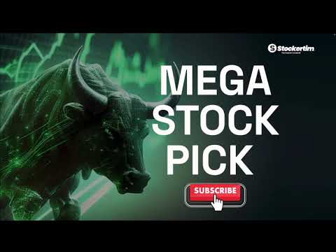 A New Mega Stock to Own in 2025 (+Target Price)