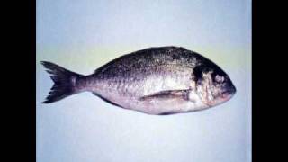 Clepsydra - God Or Beggar ( from The Album "Alone" ).wmv