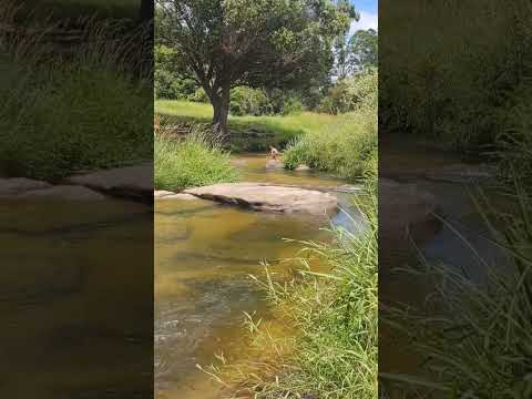 BALNEÁRIO RIO VERDE  EM PONTA GROSSA-PR