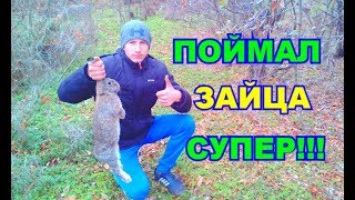 Как поймать зайца на петлю летом