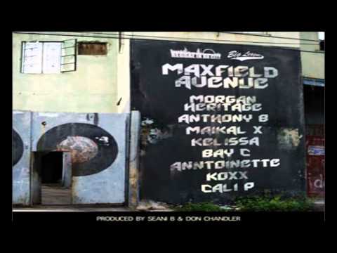 MaxField Avenue Riddim mix  [JUNE 2014]  (Reggae In The City & Big League)  mix by djeasy