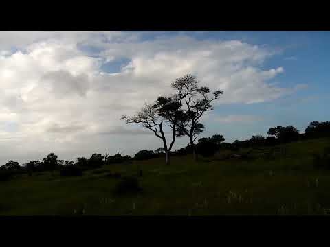 Djuma: Morning sky view with storm brewing - 07:55 - 03/12/2023