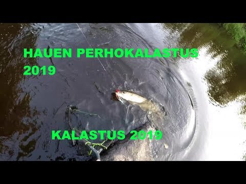 Hauen perhokalastus 2019 | kalastus 2019