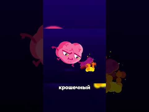 🐟 САМАЯ БЕСПОЛЕЗНАЯ РЫБА НА СВЕТЕ 🌊 #наука #интересно #факты