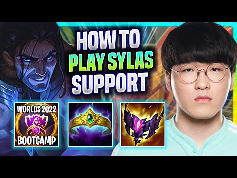 LEARN HOW TO PLAY SYLAS SUPPORT LIKE A PRO! | DK Kellin Plays Sylas Support vs Amumu! | Season 2022