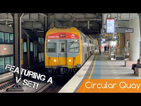 Sydney Trains Vlog 1886: Circular Quay - Rare Sighting!