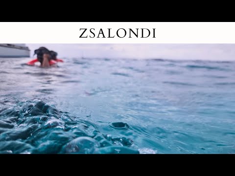 Thumbnail for Day 7 on Carnival Venezia Freeport Excursion 🚢 | Snorkeling Rainbow Reef 🌊 & Taino Beach Resort 🌴