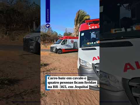 Carro bate em cavalo e deixa quatro pessoas feridas na BR-365, em Jequitaí