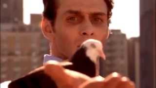 Tanya Donnelly   Keeping You Fan Edit Music Video