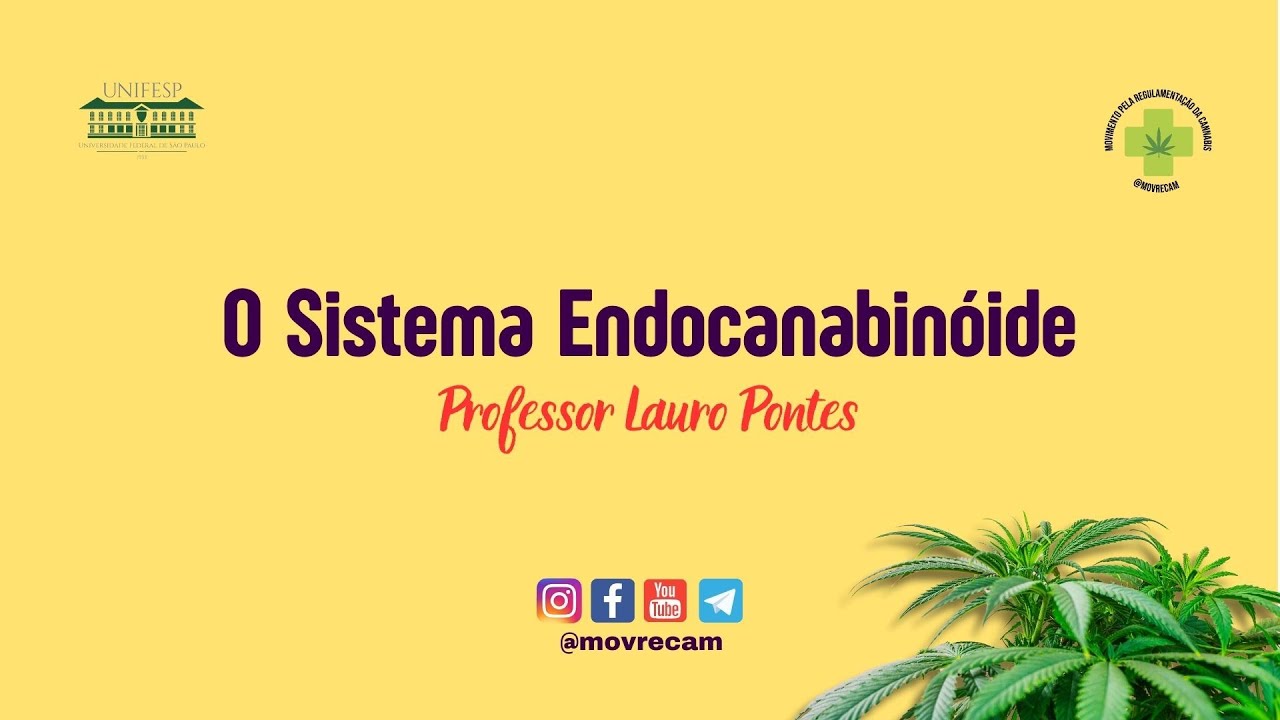 6ª Aula -  Sistema Endocanabinóide - Lauro Pontes