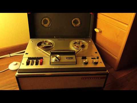 Dalmatian Dub - Peškarija (Tomec & Grabber 2010.)