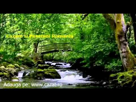 Cazare Coasta, Cluj - Cazat.ro