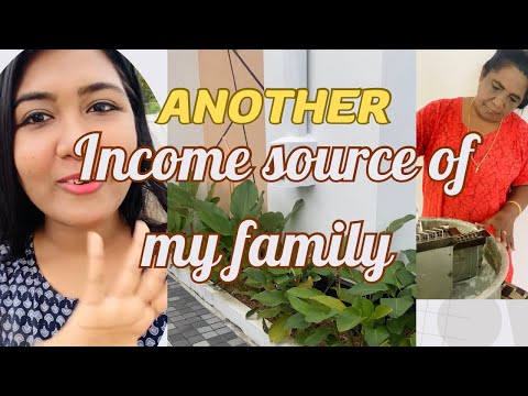 എന്റെ വീട്ടിലെ മറ്റൊരു വരുമാന മാർഗം 😍✌️💰| Our small scale business at home🌎💖|Family Vlog Malayalam|