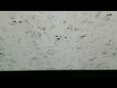 At the Carwash. Sweetwater Apopka.