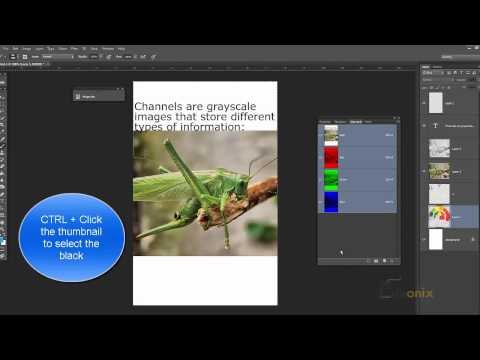 Adobe Photoshop Tutorial 35 - Color, Alpha and Spot Channels