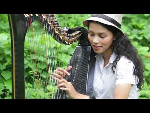 Meagan Harpist Despasito 