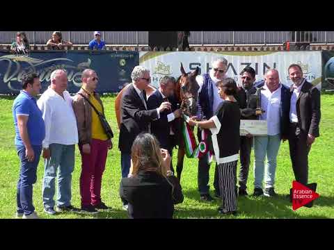 3 rd place N.69 AV DOHASSAI - 2017 Italian Nationals - Mares Championship (Class 19)