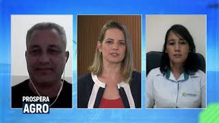 Miniatura do vídeo