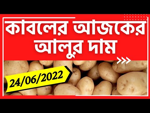 24/06/2022 : কাবলের আজকের আলুর দাম I Today's Potato Price in Kable, Hooghly, West Bengal