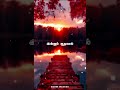Rasigaa Rasigaa Rasiga Rasiga Penn Rasigaa WhatsApp Status Video S P B Sujatha Star Movie