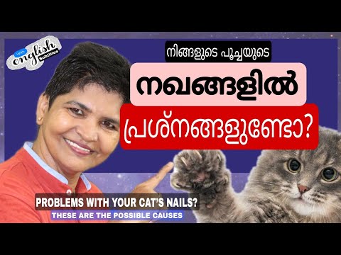Know Claw & Nail Disorders In Cats | Cat Care Guide @NANDAS pets&us